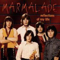 Marmalade圖片照片_Marmalade