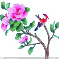 風·月·花·鳥圖片照片_風·月·花·鳥