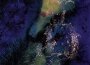 Under the Pines專輯_Bardo PondUnder the Pines最新專輯