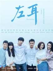 鄭凱演過的電影電視劇線上看_影視作品大全_好看的明星