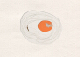 繭的形狀專輯_邱淑蟬繭的形狀最新專輯