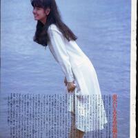 南野陽子圖片照片_南野陽子