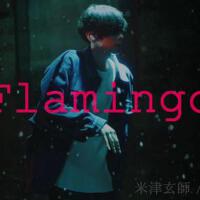 Flamingo圖片照片_照片寫真