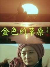 哈斯高娃演過的電影電視劇線上看_影視作品大全_好看的明星