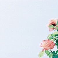 Lomoぎ圖片照片_Lomoぎ