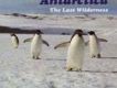 Antarctica, The Last專輯_Medwyn GoodallAntarctica, The Last最新專輯