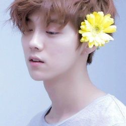 鹿晗&陶喆圖片照片_鹿晗&陶喆