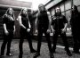 Terrorizer Fear Candy 92專輯_BlackguardTerrorizer Fear Candy 92最新專輯