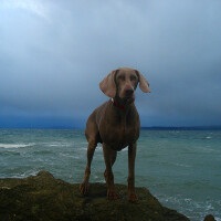 Lylah圖片照片_Lylah
