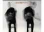 GONTITI最新歌曲_最熱專輯MV_圖片照片