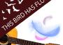 This Bird Has Flown
