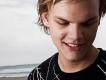 Avicii&Robbie Willia圖片照片