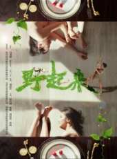 程天賜演過的電影電視劇線上看_影視作品大全_好看的明星
