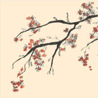 Flare圖片照片