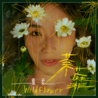 葉柔歌曲歌詞大全_葉柔最新歌曲歌詞