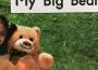 Big Bear