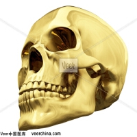 White Skull圖片照片_White Skull