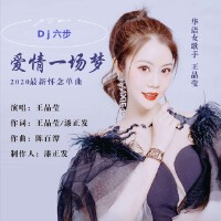 愛情一場夢(DJ版)