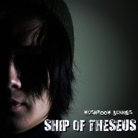 Ship of Theseus