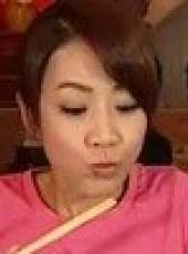 鳳中奇緣最新一期線上看_全集完整版高清線上看_好看的綜藝