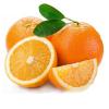Orange&nbsp;Pekoe圖片照片_Orange&nbsp;Pekoe