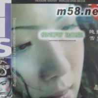 Snow Rose圖片照片_Snow Rose