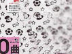 東洋50金曲圖片照片