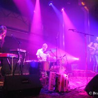 Bowerbirds圖片照片_Bowerbirds