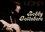Honey專輯_Bobby GoldsboroHoney最新專輯