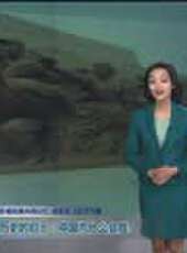 遼寧新聞最新一期線上看_全集完整版高清線上看 - 蟲蟲綜藝