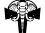 大象墓地專輯_大象墓地ElephantGrave大象墓地最新專輯