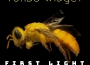 Love Somebody專輯_Turbo WidgetLove Somebody最新專輯