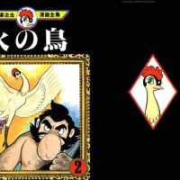 火之鳥圖片照片_火之鳥