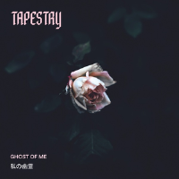 Tapestry歌曲歌詞大全_Tapestry最新歌曲歌詞