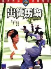 程小東演過的電影電視劇線上看_影視作品大全_好看的明星