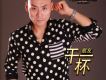 袁鋒歌曲歌詞大全_袁鋒最新歌曲歌詞