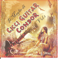 Cicci Guitar Condor圖片照片_照片寫真