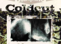 Coldcut最新歌曲_最熱專輯MV_圖片照片
