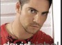 Bisbal david
