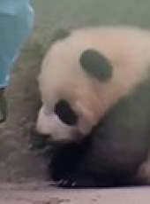 萌次元最新一期線上看_全集完整版高清線上看_好看的綜藝