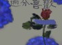 過分喜歡專輯_茶小茜過分喜歡最新專輯