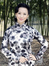 淚灑女人花線上看_全集高清完整版線上看_分集劇情介紹_好看的電視劇