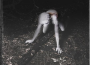 Requiem - Pianissimo專輯_Virgin BlackRequiem - Pianissimo最新專輯