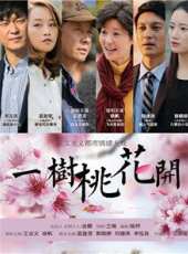 一樹桃花開第41集劇情介紹_一樹桃花開第41集分集劇情結局介紹_好看的電視劇