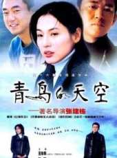 平安是福（2008）線上看_全集高清完整版線上看_分集劇情介紹_好看的電視劇
