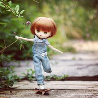 Dolly圖片照片_Dolly