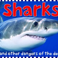 Sharks圖片照片_Sharks