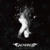 Galneryus歌曲歌詞大全_Galneryus最新歌曲歌詞