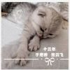 於惠茜歌曲歌詞大全_於惠茜最新歌曲歌詞