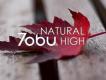 Natural High圖片照片